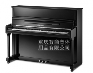 珠江銀河係列 UP118YH